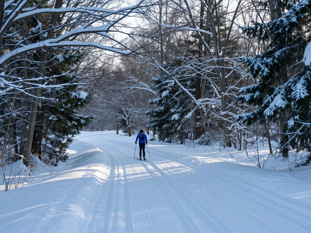 Cross-Country Skiing and Snowshoeing Near Chicago: Best Trails & Tips