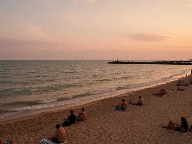 Montrose Beach Chicago: A Guide to the Bird Sanctuary, Dog Beach, and Amenities